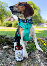 Wiggly Butt Pet Spritz